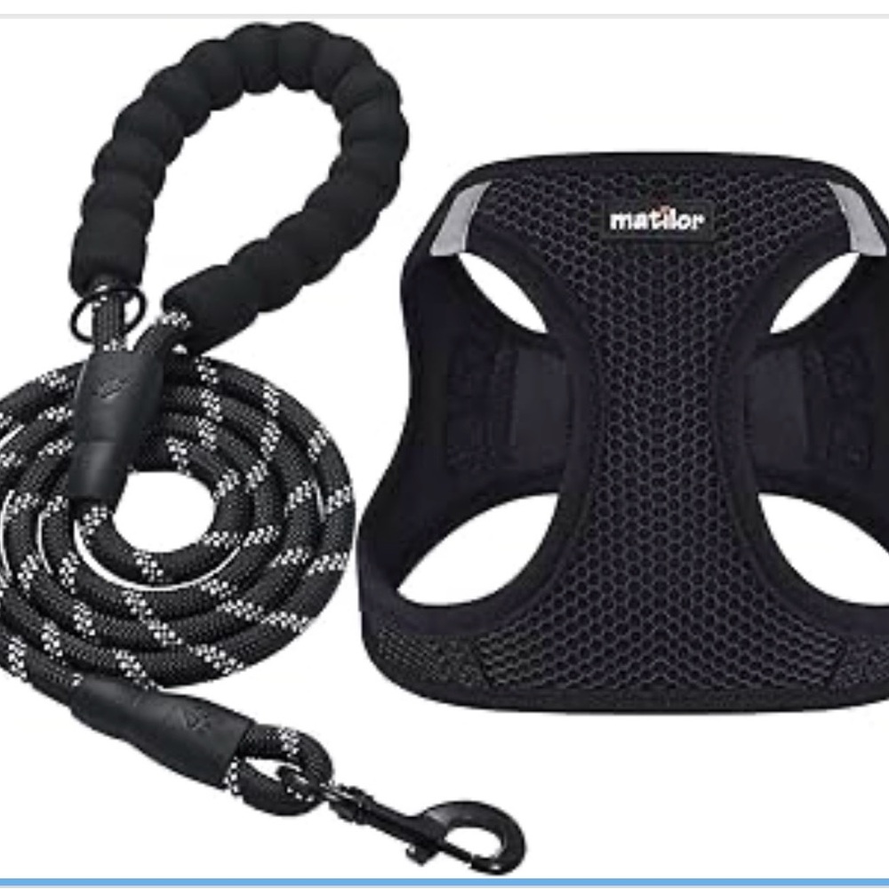 Black Dog Harness and Leash Set SZ Medium